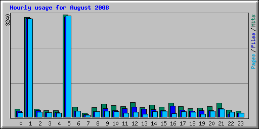 Hourly usage for August 2008