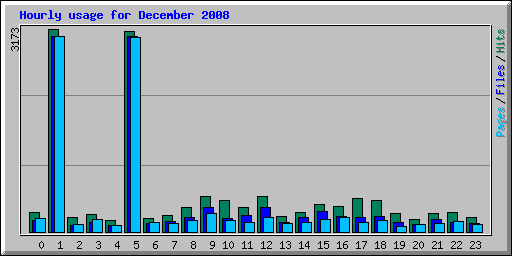 Hourly usage for December 2008