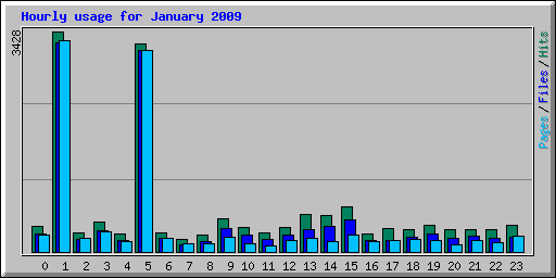 Hourly usage for January 2009